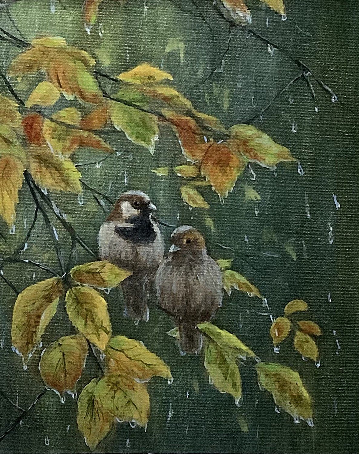 Autumn Rain - Colin Mackay