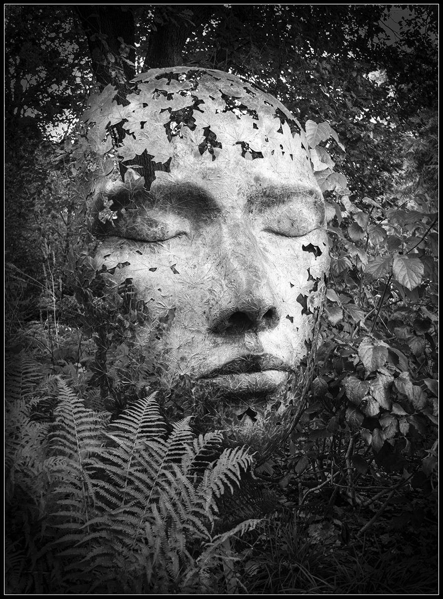 Contemplation