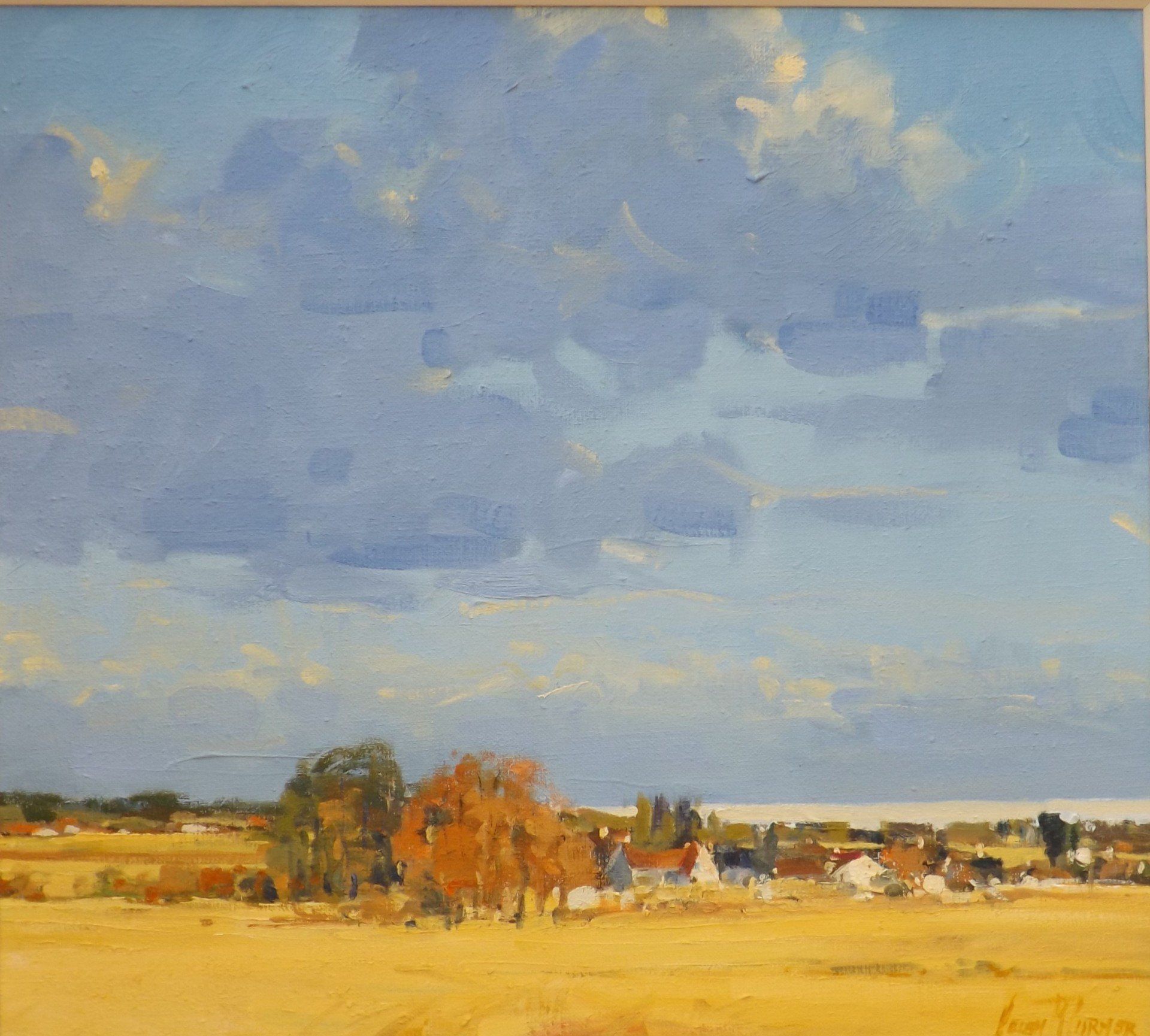 Fields of Gold by Helen M Turner