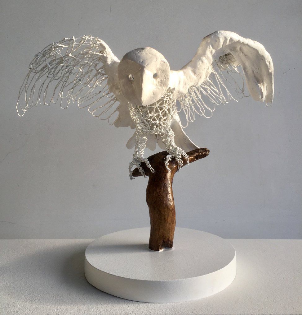 Vanessa Lawrence - Barn Owl
