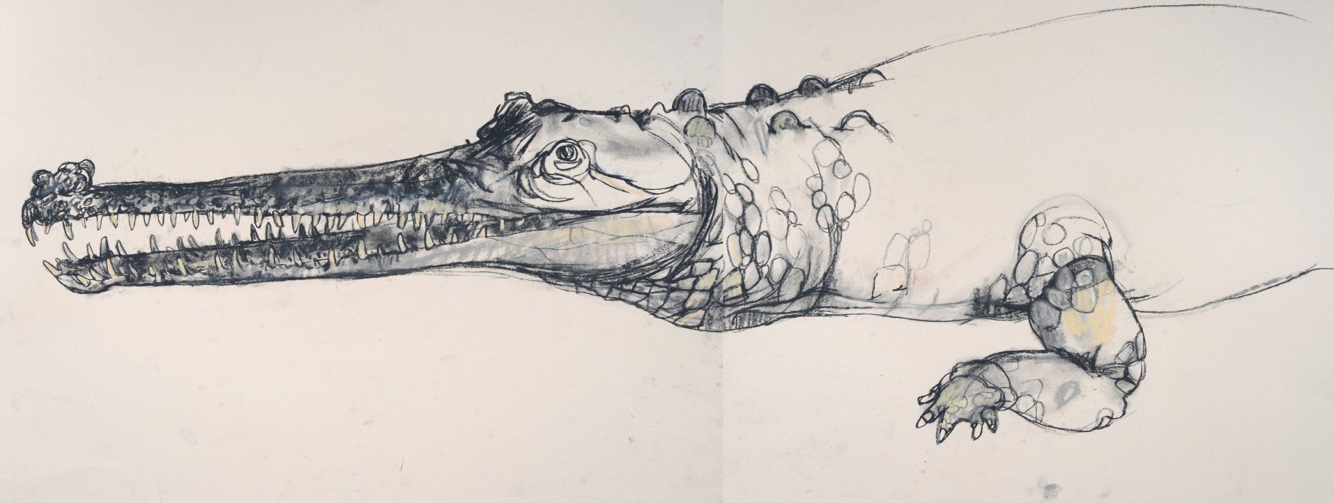 Gharial