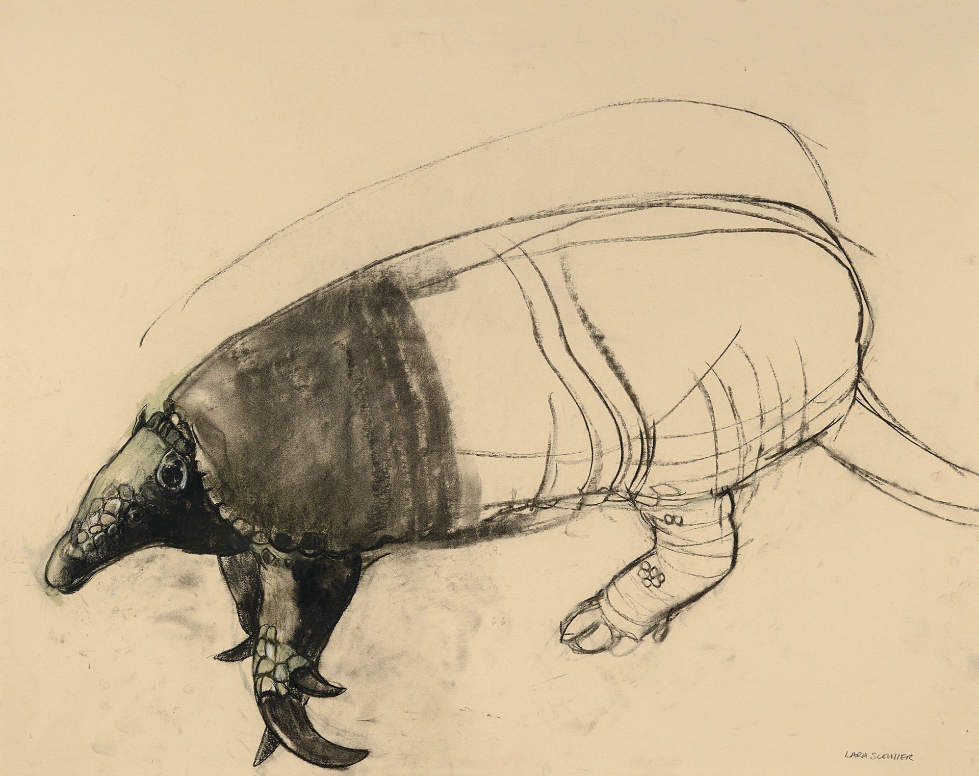 Giant Armadillo