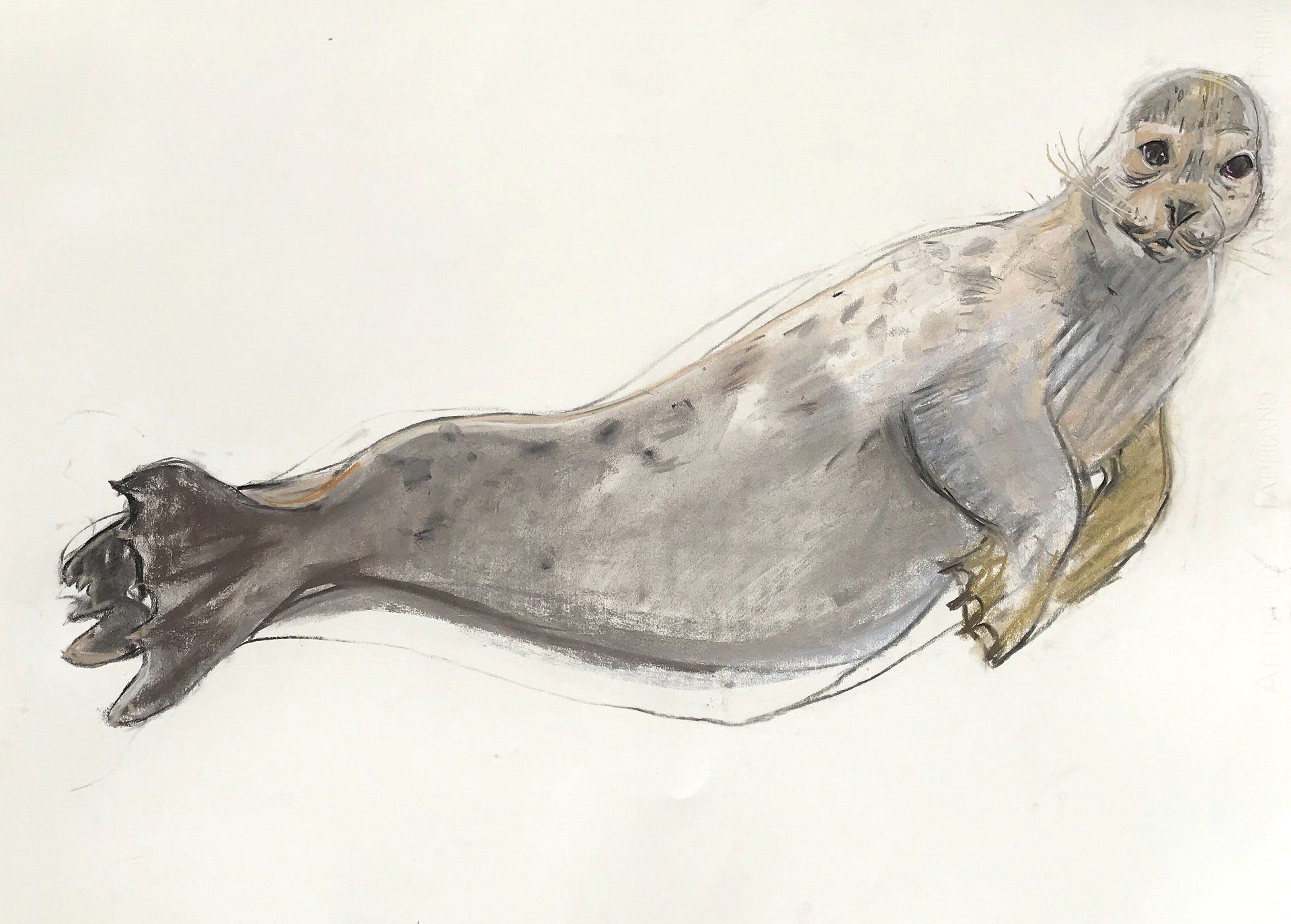 Seal