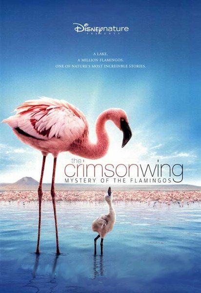 the crimson wing mystery of the flamingo move poster