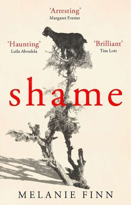 shame book cover by author melanie finn