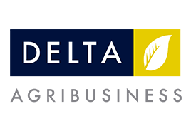 Delta Logo