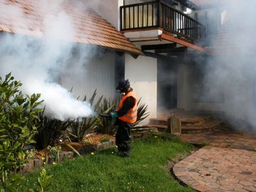 Bug Off Fumiclean control de malezas y pastos