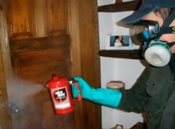 Bug Off Fumiclean tratamiento de maderas