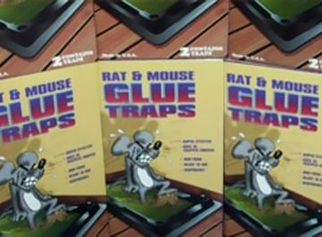 Bug Off Fumiclean rodentización o desratización