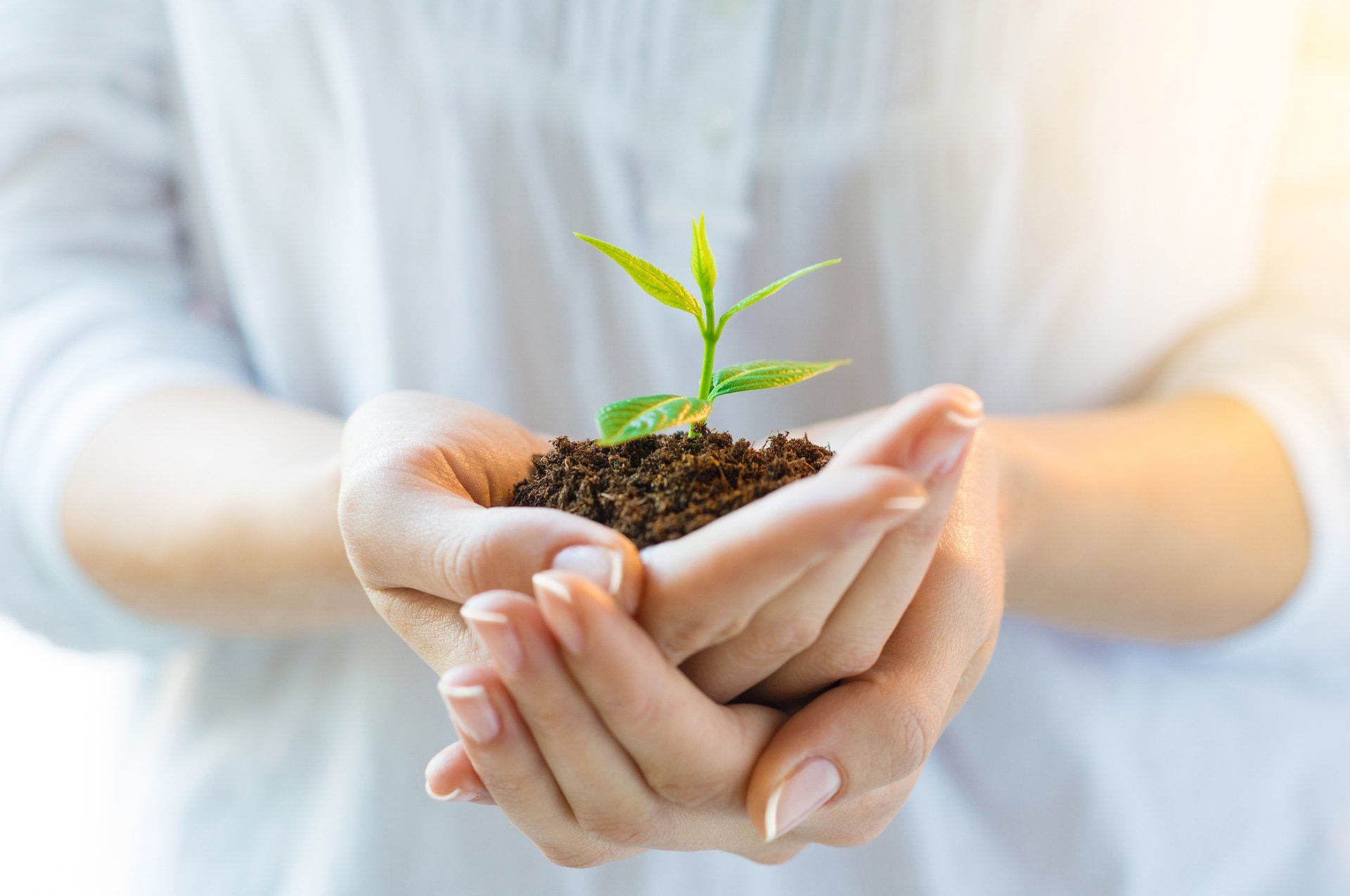 Naturopathic Medicine Oshawa
