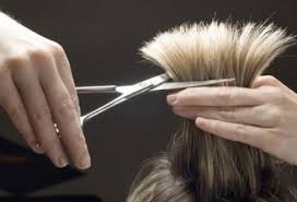 Hair being cut with scissors. A person's hands hold the hair while the scissors snip the ends.