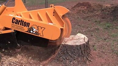 Firewood — Tree Care by Hudson & Sons Tree Service in Enon Valley, PA