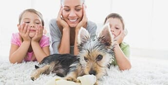 Floor cleaning — cleaning in Escondido, CA Floor cleaning — cleaning in Escondido, CA