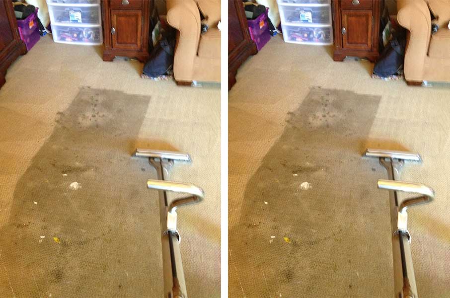 Burbur carpet — cleaning in Escondido, CA