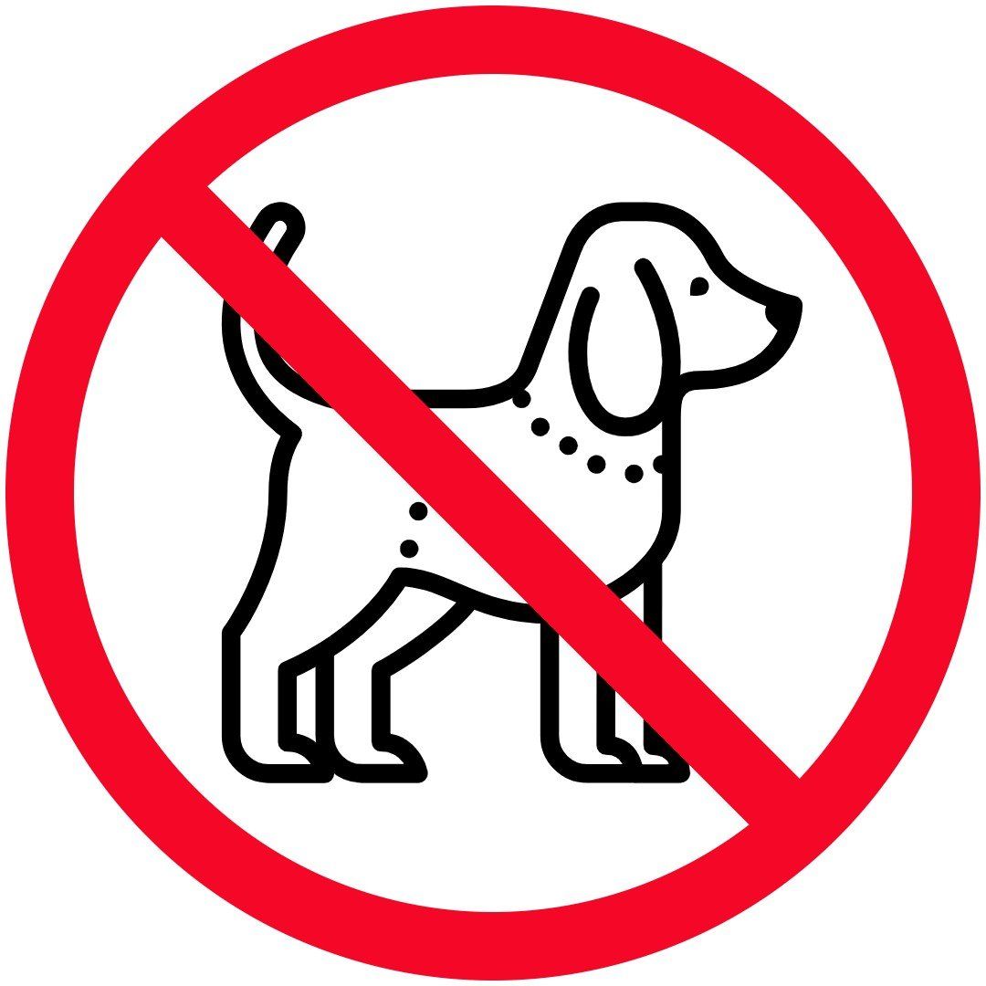 no dogs allowed