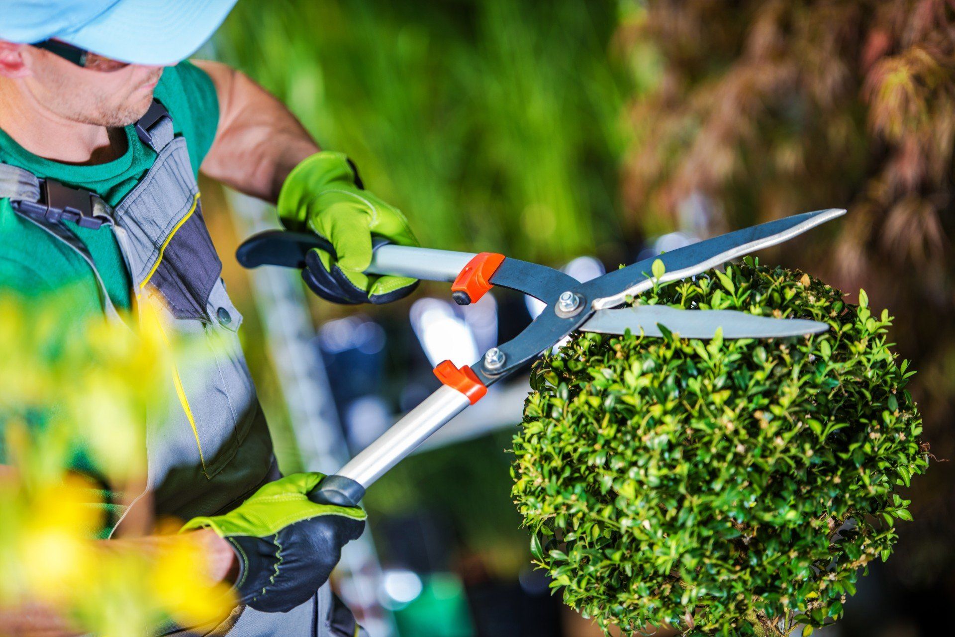 Consulenze per giardinaggio