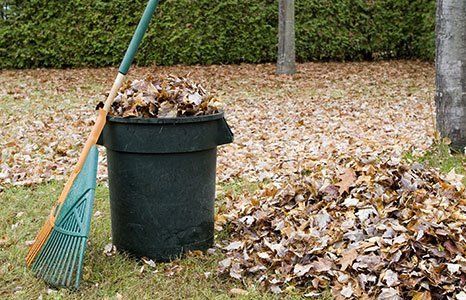 garden cleaning