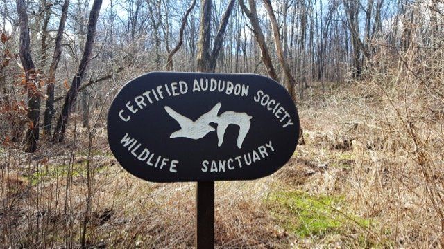 A sign for the certified audubon society wildlife sanctuary