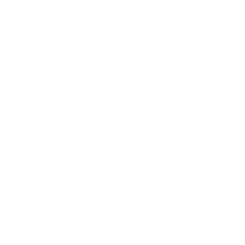 Caroline Mondo Cleaning Services icon