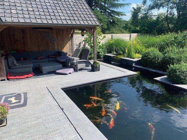 Koi vijver