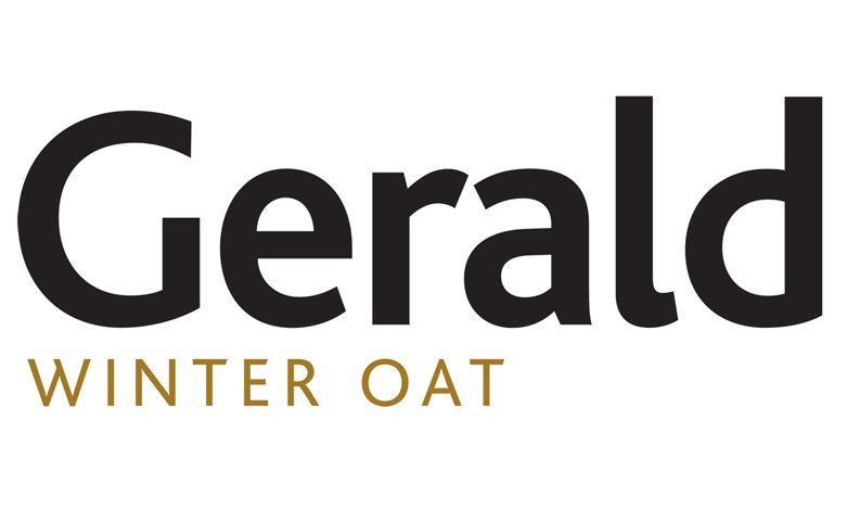 Gerald Winter Oat