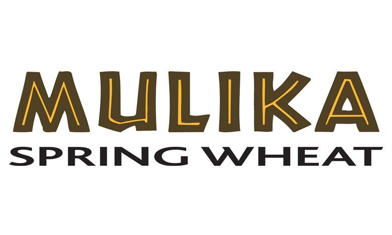 Mulika Group 1 spring wheat