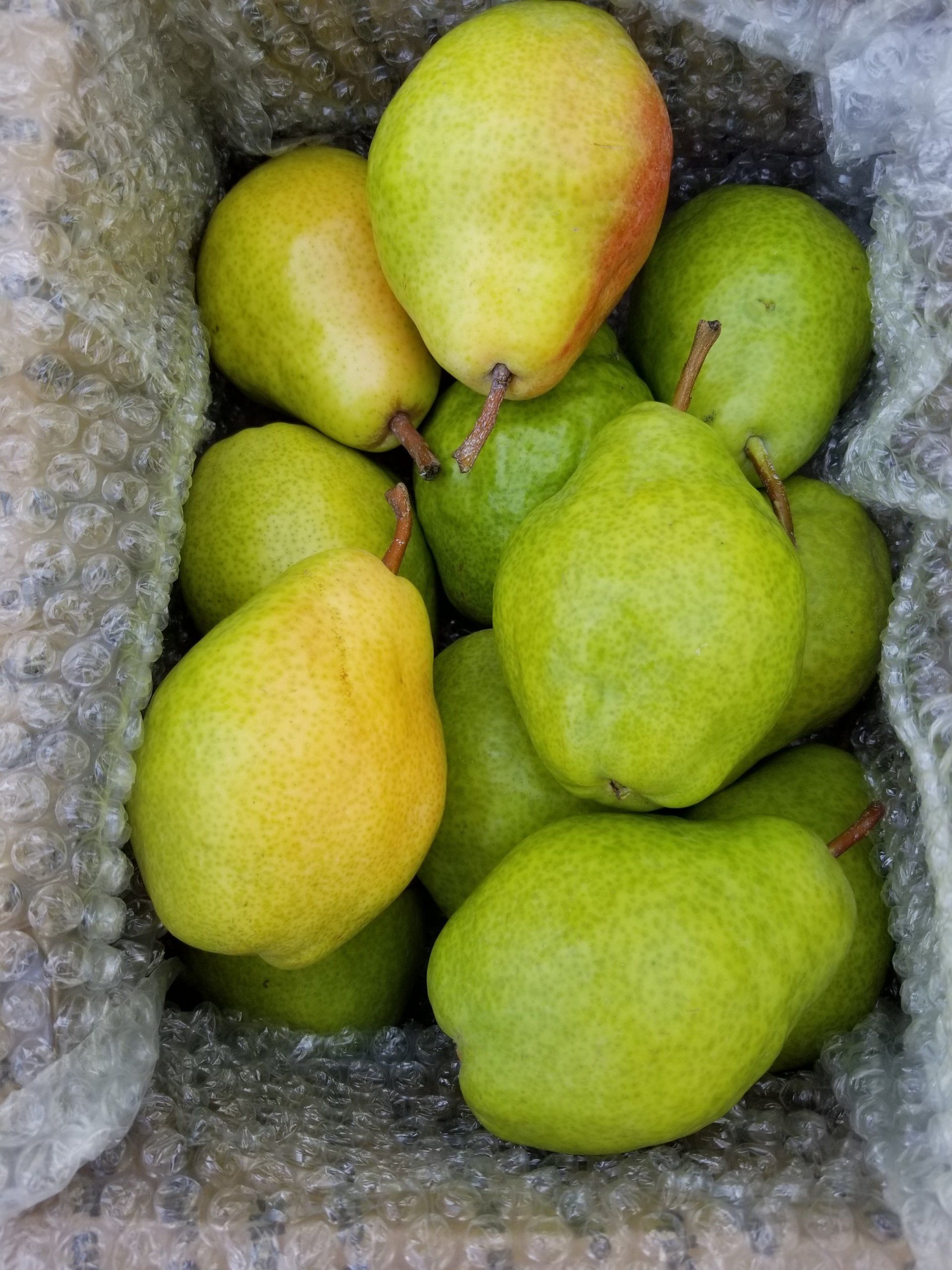 Bartlett pears
