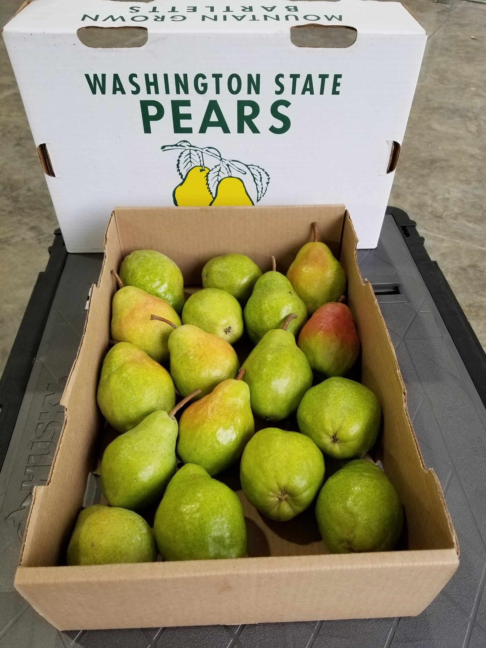 Bartlet Pears