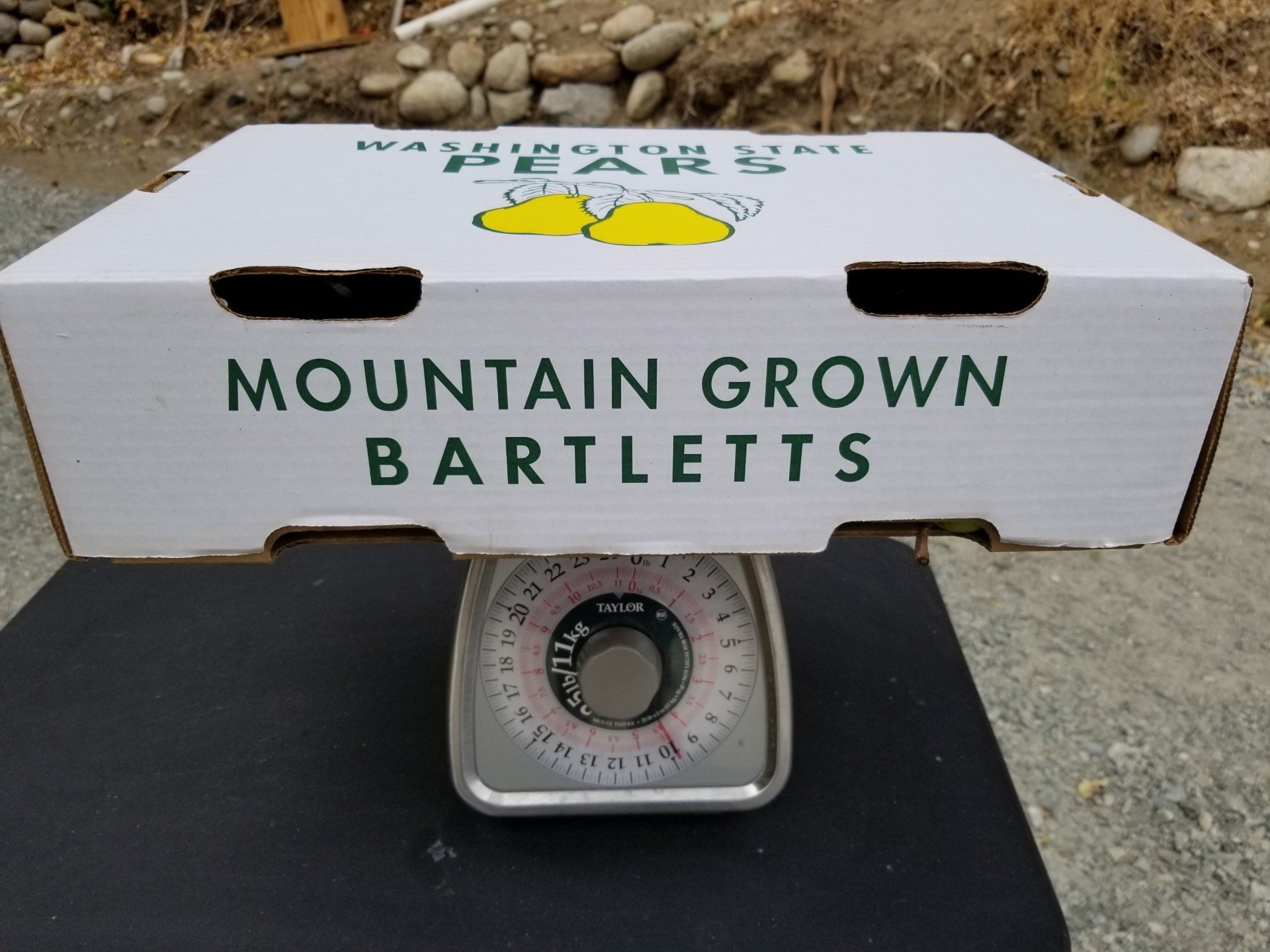 Bartlett Pears