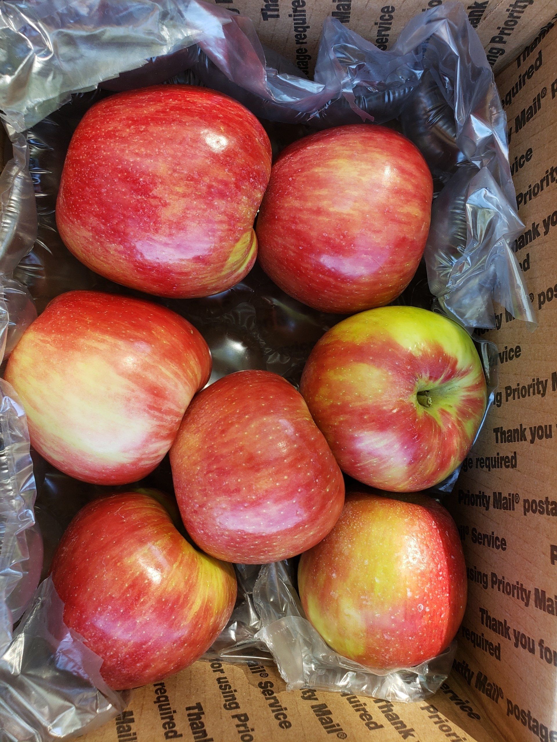Honey Crisp Apples