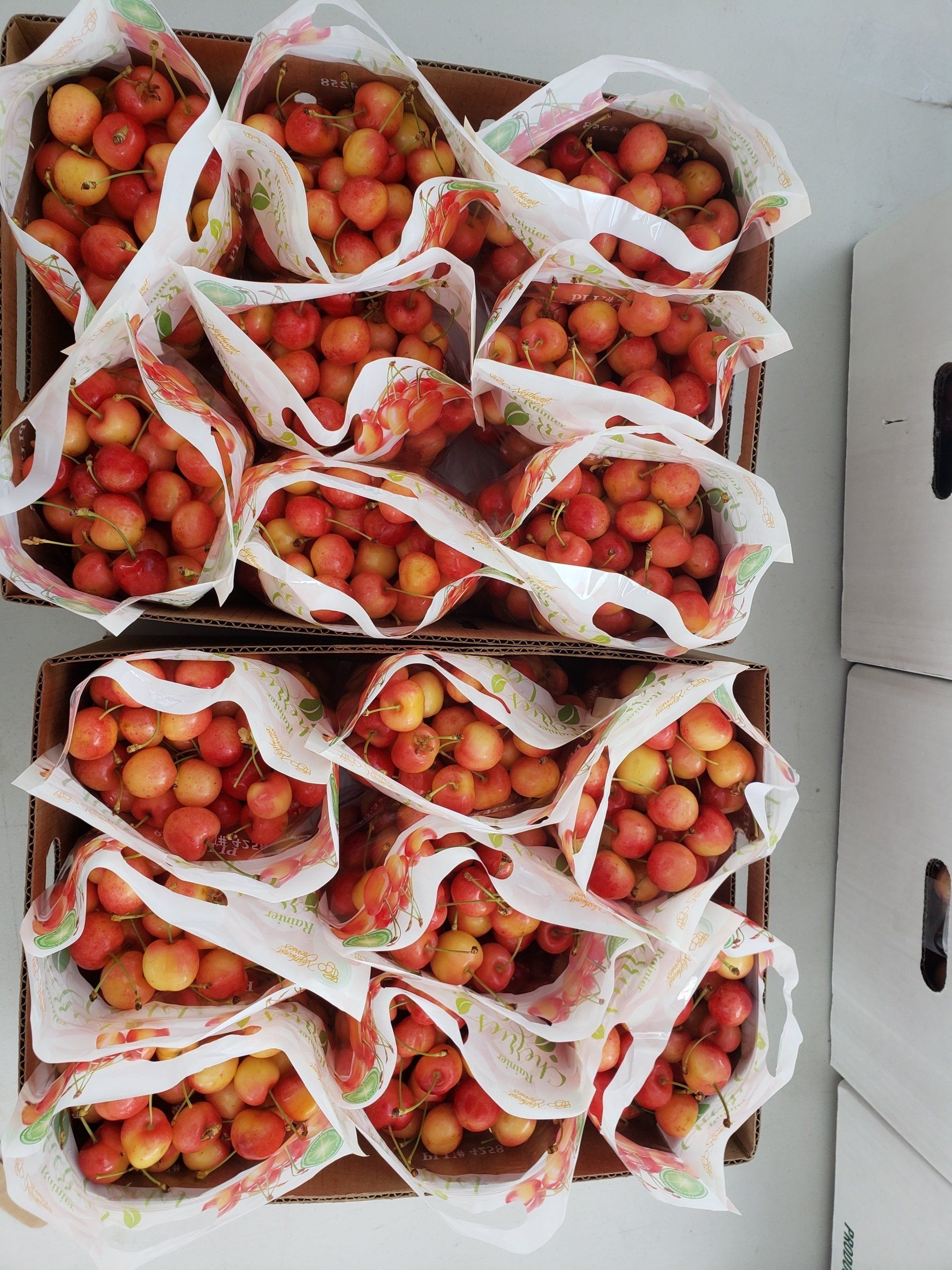 Early Robin Cherries