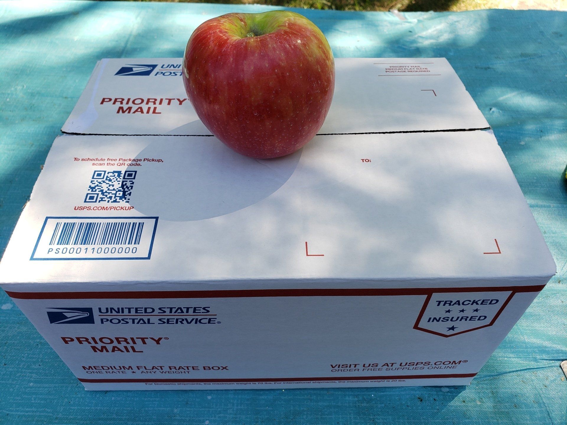 Apple Size