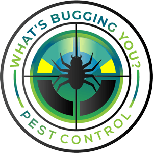 What's-Bugging-You