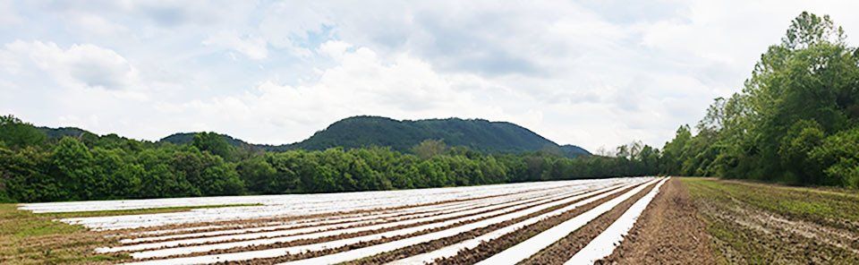 Healthy Harvesting™ - 2020