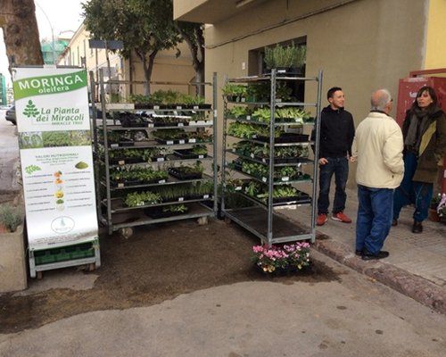 Semi biologici ad Alghero