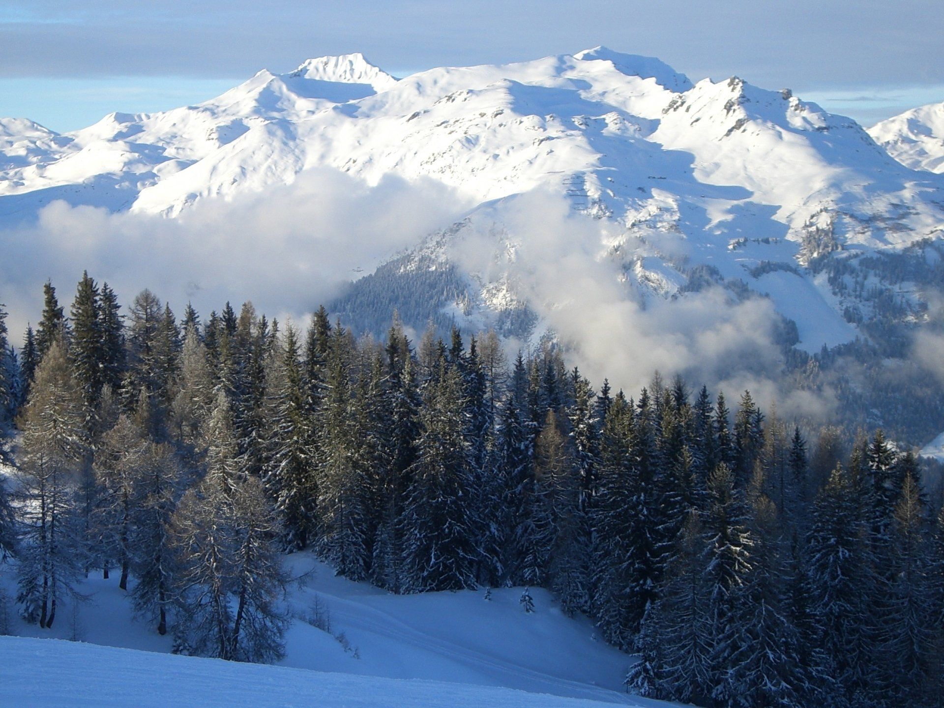 Stunning tree lined piste in Plagne Montalbert