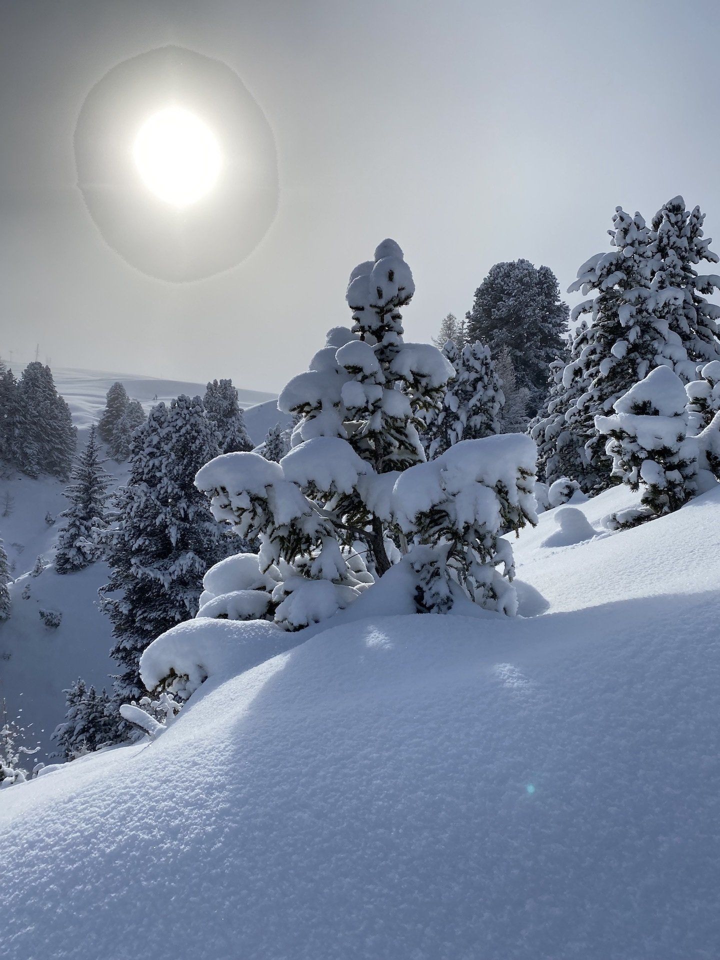 La Plagne  Sun and Snow
