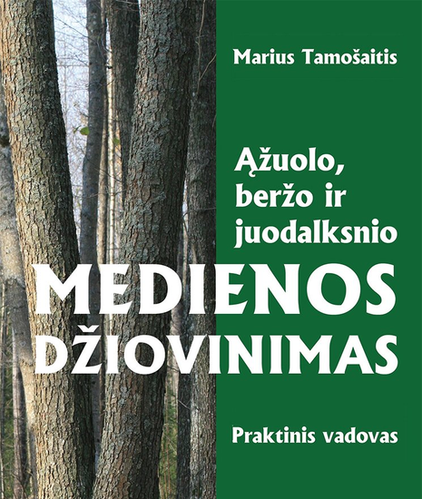 medienos džiovinimas