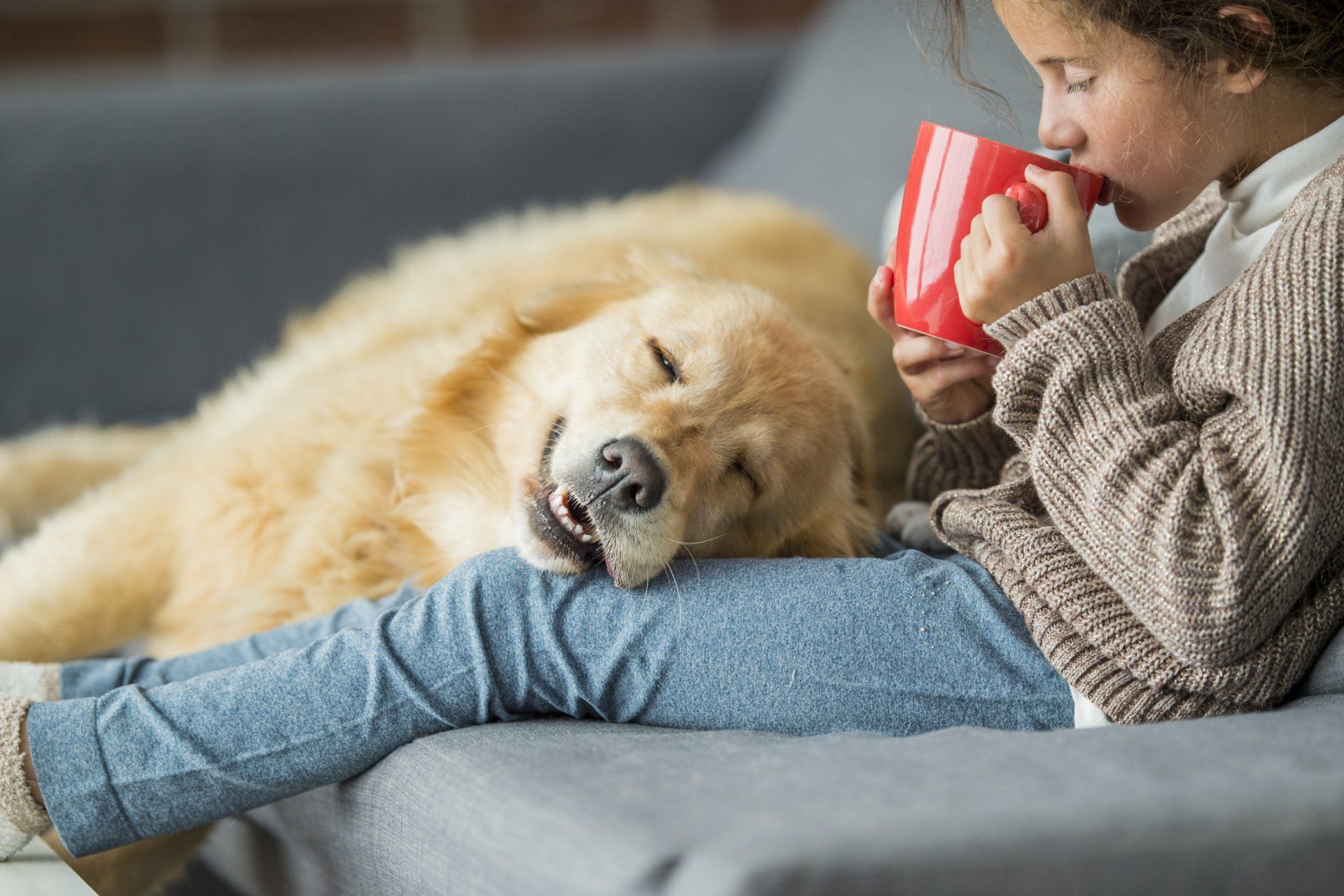 Child & Dog On couch