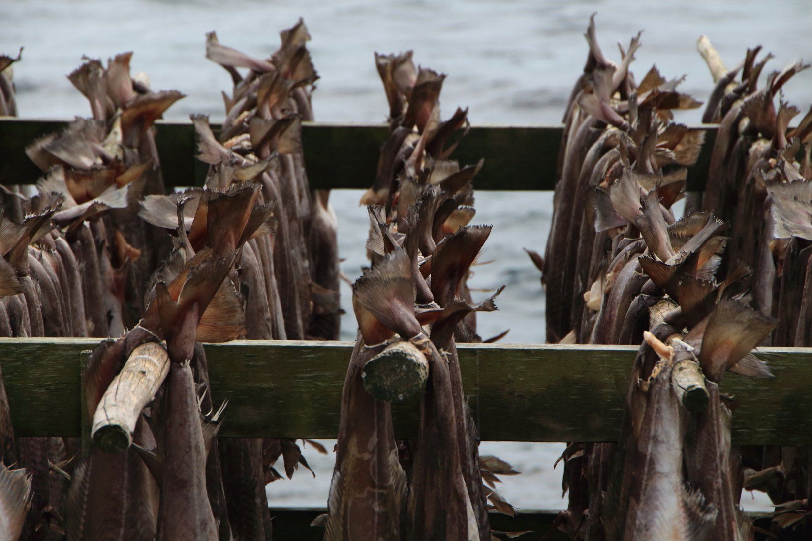Norway - Stockfish