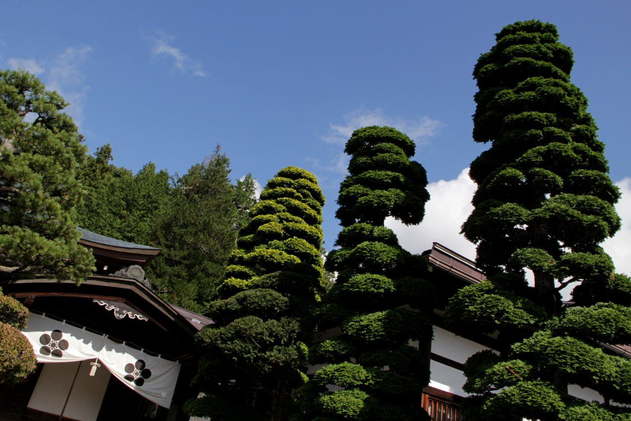 Japan - Takayama