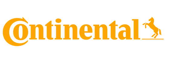 Continental padangos