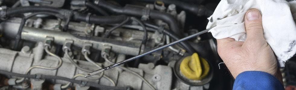 autofficina elettrauto bevoni