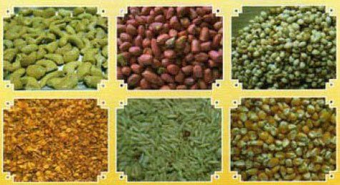 Aflatoxins can infect crops including corn, peanuts,  coffee beans, rice, wheat, barley and others