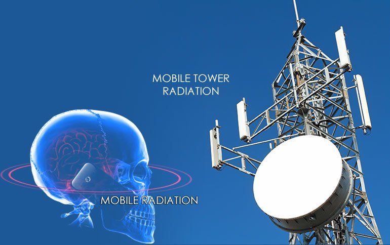 Global Indoor Health Network - Cell towers are harmful to humans, animals and plants Global Indoor Health Network - Cell towers are harmful to humans, animals and plants