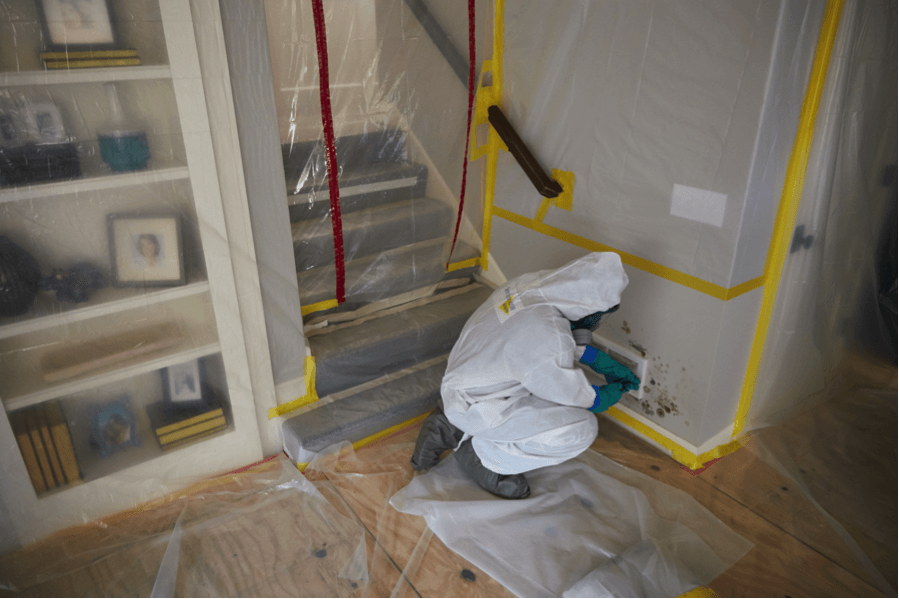 Global Indoor Health Network - Mold Remediation