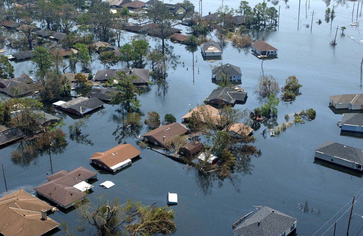 Mycotoxins are found in water-damaged buildings