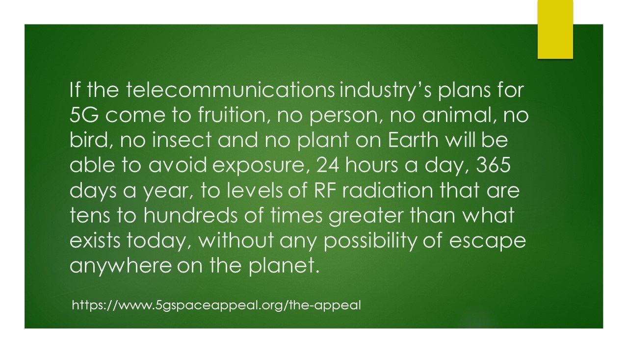 International Appeal against 5G
