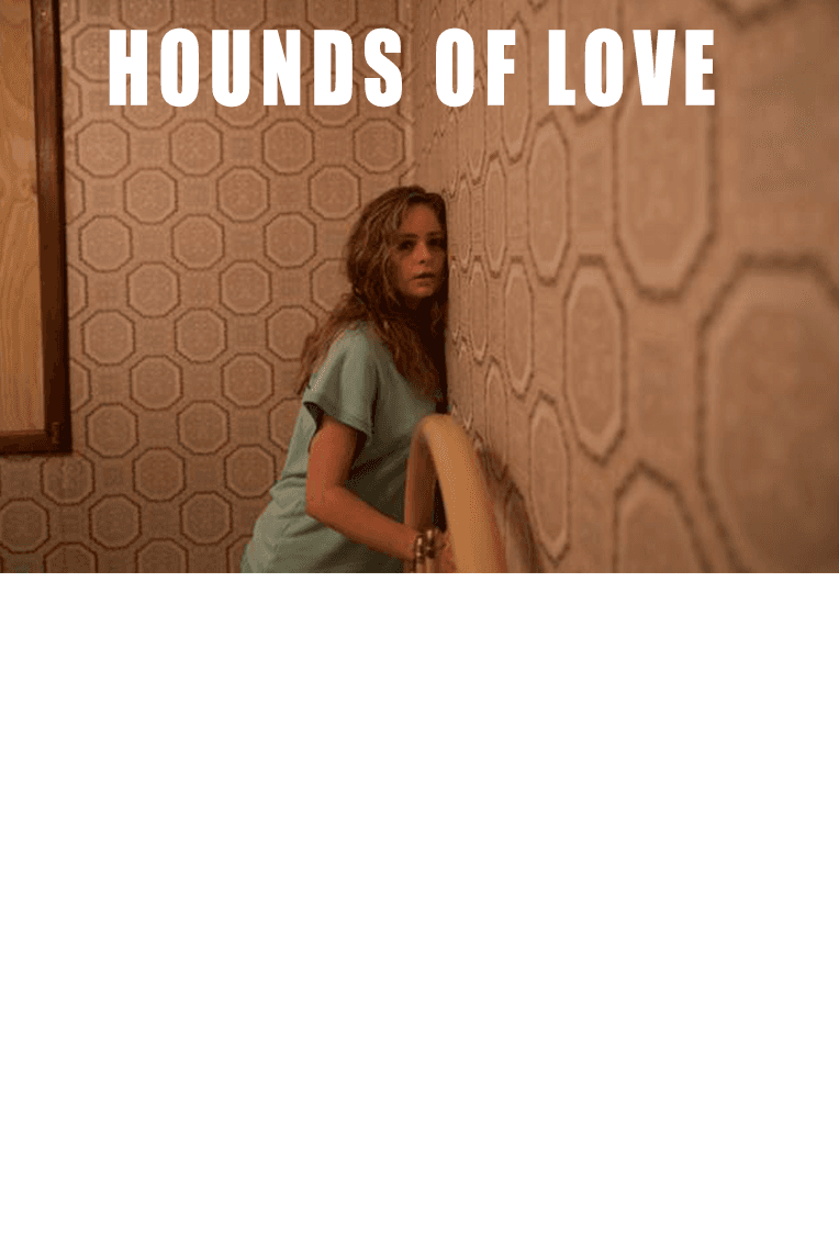 Hounds Of Love