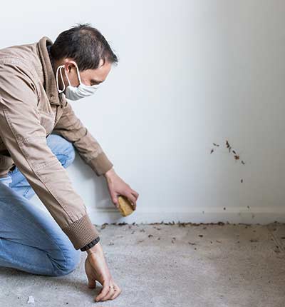 Inspectors — Man Inspection Of Dirty Mold in Corpus Christi, TX Inspectors — Man Inspection Of Dirty Mold in Corpus Christi, TX